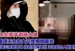 王力宏爆料 视频大全集,揭秘娱乐圈幕后真相