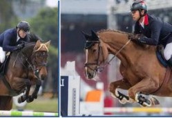 成都骑手爆料事件最新