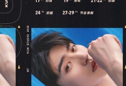 蔡徐坤行程爆料视频完整版,完整版爆料视频深度解析