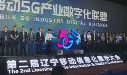 鞍山新闻爆料大师,揭秘爆料大师背后的故事