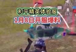 帕布鸡体验服最新爆料,神秘技能曝光，游戏玩法再升级！