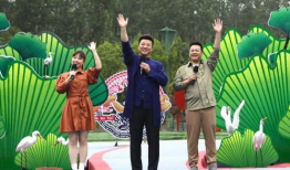 法老直播爆料最新消息视频,最新消息视频深度解析