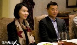 温州两家人在线观看,情感纠葛与时代变迁的交织