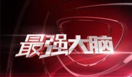 最强大脑决赛爆料视频,巅峰对决，脑力精英巅峰对决