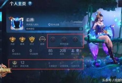 王者爆料博主没视频,神秘博主无视频曝光，内幕揭秘引热议