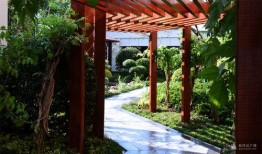 巨野桃李春风最新爆料,揭秘娱乐圈幕后风云