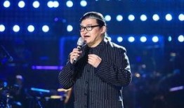 刘欢爆料好声音整段视频,一场关于梦想与坚持的视听盛宴