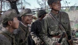 美国民兵爆料视频播放大全,揭秘真相与争议瞬间