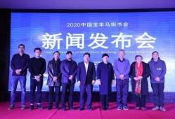 河南都市爆料宝丰新闻最新消息,最新进展及影响揭秘