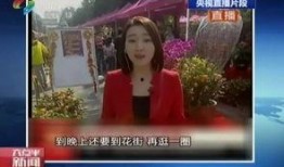 佛山直播在线观看,实时在线观看，尽享城市风采