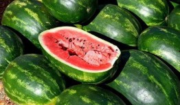 云南网红吃瓜视频下载大全,一网打尽全网热门瞬间