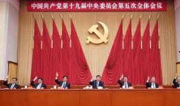 成武五中爆料新闻视频最新