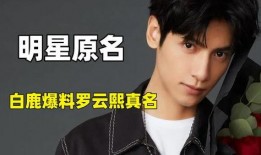 白鹿爆料罗云熙视频,白鹿爆料背后真相引热议