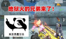 忍者爆料解说视频大全,视频大全中的忍者世界全解析