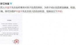 娱乐圈娱乐圈吃瓜PPT,PPT带你领略幕后风云