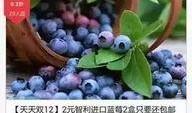 网友爆料蓝莓视频大全下载,网友热议的下载攻略揭秘