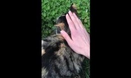 杜冥鸦被谁爆料了啊视频