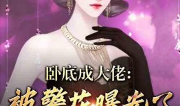 警花被爆料视频小说,揭秘视频小说背后的真相