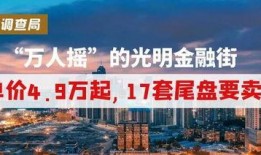 河南都市爆料宝丰新闻最新消息,最新进展及影响揭秘