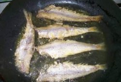 黄鲫子鱼爆料怎么做视频,揭秘视频制作全攻略