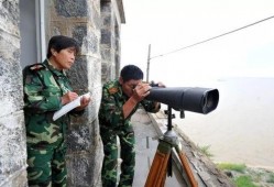 美国民兵爆料视频播放大全,揭秘真相与争议瞬间