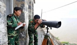 美国民兵爆料视频播放大全,揭秘真相与争议瞬间