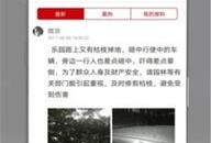 珠海热点爆料新闻事件,海滨公园惊现巨型海豚雕塑，引游客围观热议