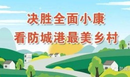 青山最新爆料新闻视频,揭秘事件背后惊人真相