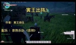 春节爆料视频最新消息,揭秘节日背后的惊喜与感动