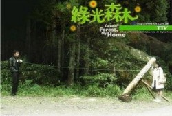 绿光森林在线观看15,探寻奇幻之旅的15个精彩瞬间