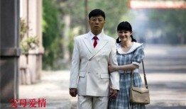 电视剧父母的爱情全集在线观看,重温经典，共度温馨时光