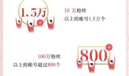 今日头条创作者爆料,揭秘幕后故事，带你走进内容创作世界