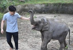 杭州动物园爆料新闻视频