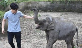 杭州动物园爆料新闻视频