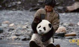 熊猫影视在线观看,畅享海量影视资源，尽在指尖