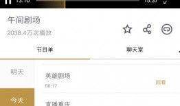 重庆卫视直播在线观看,实时捕捉山城魅力瞬间