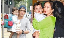 杨妈妈现状爆料现场视频,惊人真相令人震惊