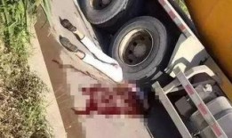 东莞长安车祸最新爆料,悲剧现场细节及调查进展披露