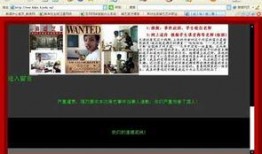 事件爆料动画视频大全集,揭秘热门事件幕后故事