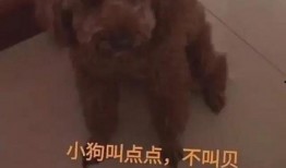 马长春最新爆料,揭秘娱乐圈惊人内幕