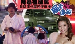 黄宗泽爆料麻将视频,揭秘娱乐圈幕后娱乐生活