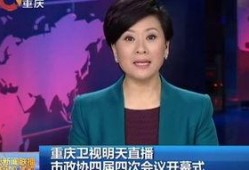 重庆卫视直播在线观看,实时捕捉山城魅力瞬间