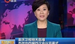 重庆卫视直播在线观看,实时捕捉山城魅力瞬间