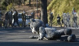 杭州动物园爆料新闻视频