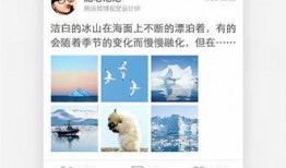 qq最新爆料网站下载,最新爆料网站下载背后的秘密与趋势