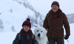 灵犬雪莉在线观看完整,忠诚守护，勇闯天涯