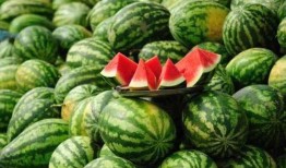 吃瓜网红讲述了什么内容,揭秘网红吃瓜背后的惊人内幕