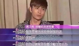 贾乃亮视频谁爆料的,揭秘事件真相与幕后推手