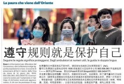 全球疫情爆料视频