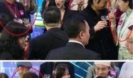 黄宗泽爆料麻将视频,揭秘娱乐圈幕后娱乐生活